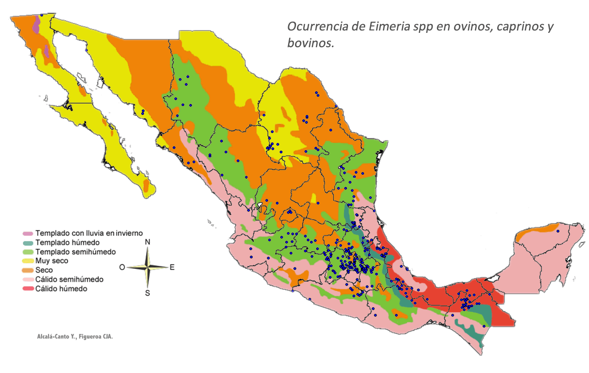 Ocurrencias de Eimeria spp. en bovinos, ovinos y caprinos.