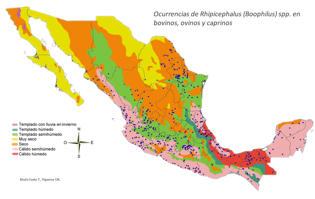 Ocurrencias de Rhipicephalus (Boophilus) spp. en bovinos, ovinos y caprinos.